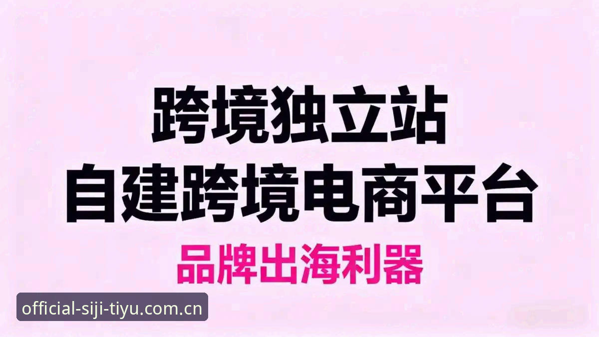 资深用户分享：四季体育官方平台评测实战心得与2026新版使用体验